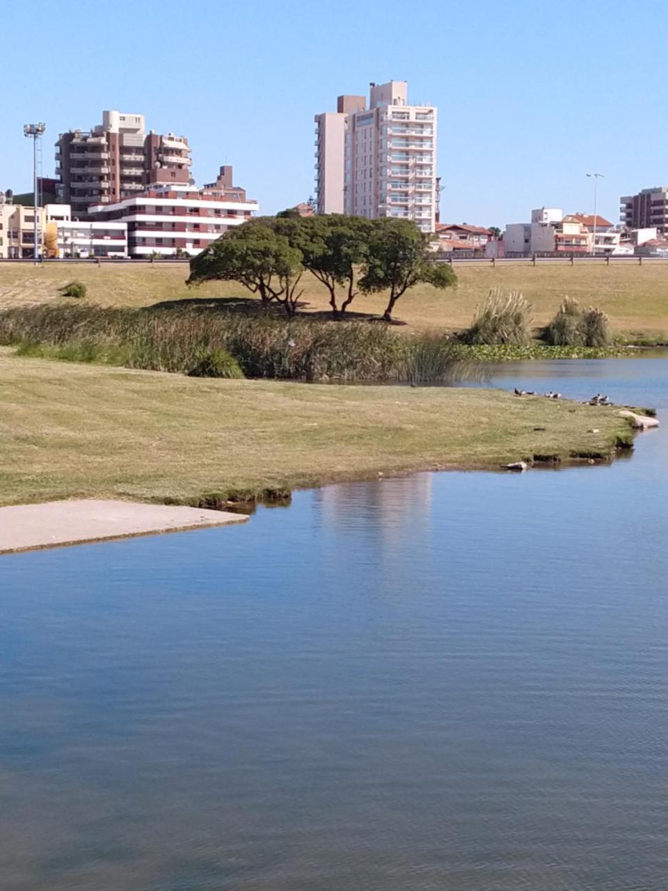 Apartamento Edificio Juana del Mar Mar del Plata Exterior foto